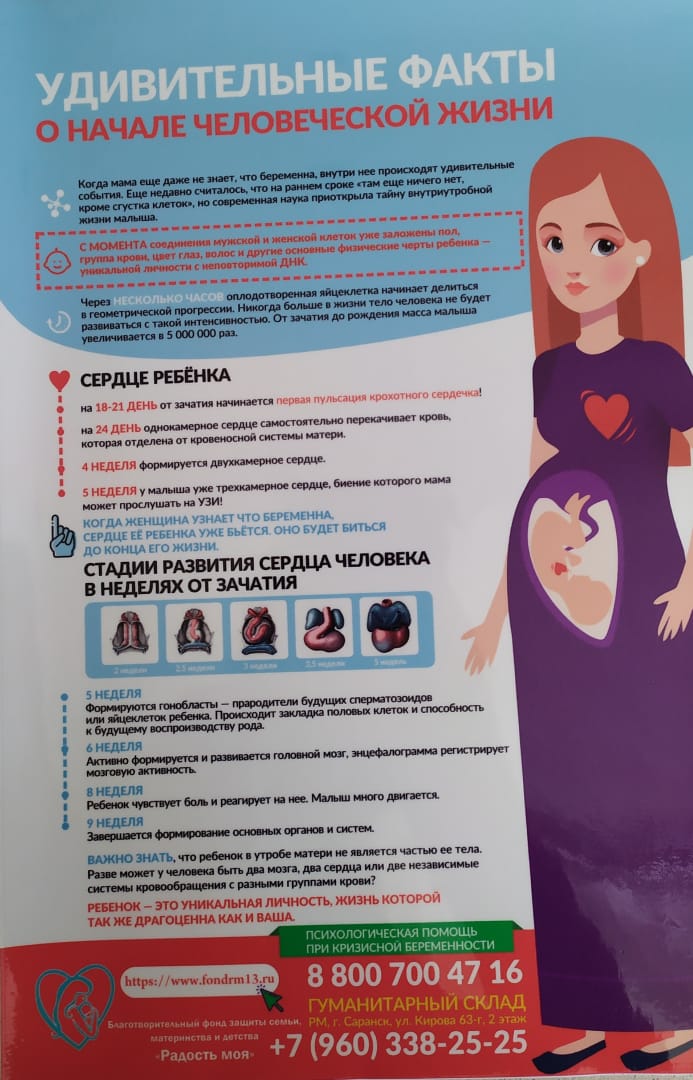 Большая семья